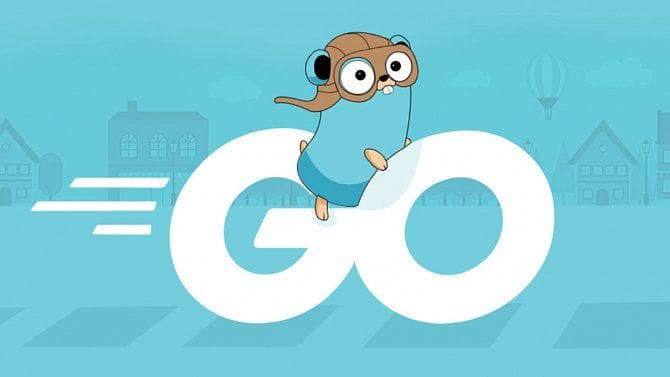 Why I Chose Golang for My Platform